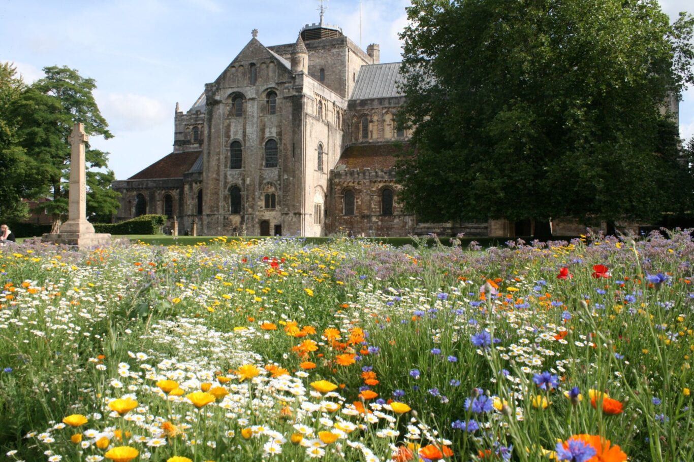 Romsey abbey wildflower meadow