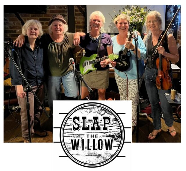 Slap The Willow band